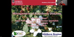 Management of Blackberry Diseases