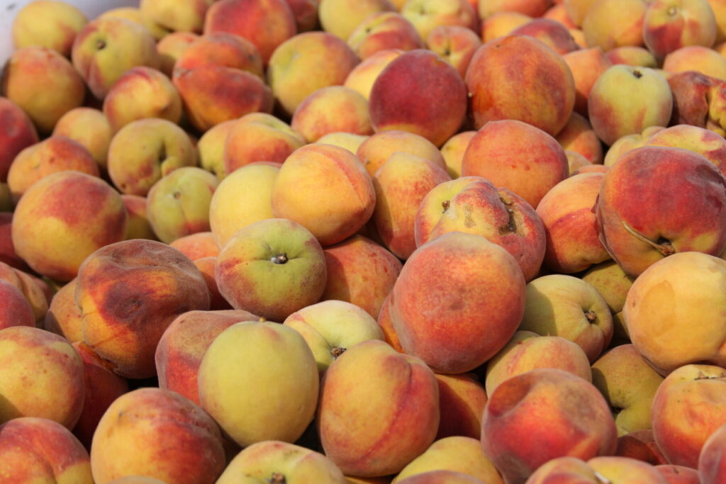 A pile of red, orange, and yellow peaches.